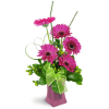 Happy Dance - Deluxe. An arrangement by Avenue Flowers and Gifts. Give them a gorgeous bouquet of Gerbera daisies, hypericum berries, snake grass,...