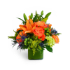 October Evening™ - Premium. An arrangement by Avenue Flowers and Gifts.