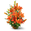 Asiatic Lily Basket - Deluxe. An arrangement by Avenue Flowers and Gifts. Vibrant orange lilies and oregonia are arranged in a reusable wicker...