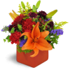 Fruit of the Bloom™ - Standard. An arrangement by Avenue Flowers and Gifts. A colorful mix of mini Gerbera daisies, Asiatic lilies, and...