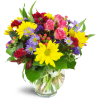 Joyful Thanks™ - Standard. An arrangement by Avenue Flowers and Gifts. Yellow daisies, purple asters, pink spray roses, and more are delightfully...