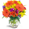 Sunglow Blooms™ - Premium. An arrangement by Avenue Flowers and Gifts. Gerbera daisies, miniature carnations, and spray roses are arranged in this...