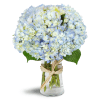 Cloud Nine™ - Premium. An arrangement by Avenue Flowers and Gifts. Six stems of blue hydrangea are arranged in a gracious glass vase..