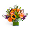 August's End™ - Premium. An arrangement by Avenue Flowers and Gifts.